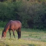 ホテル Rural Foncubierta 3*