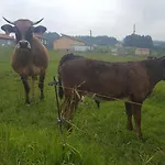 ホテル Rural Foncubierta