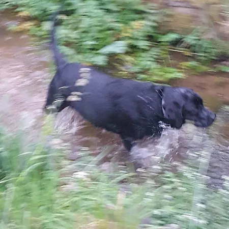 Ξενοδοχείο Rural Foncubierta