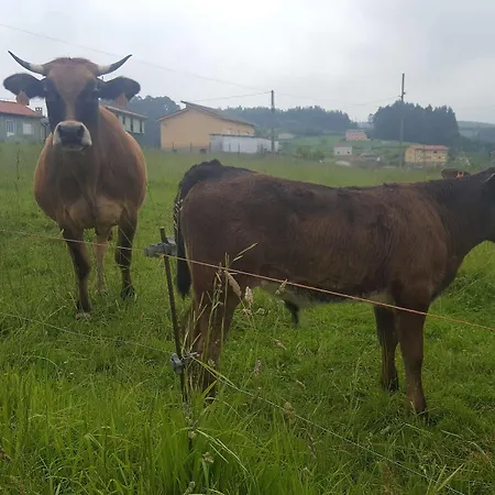 Ξενοδοχείο Rural Foncubierta