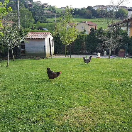 Rural Foncubierta 3*