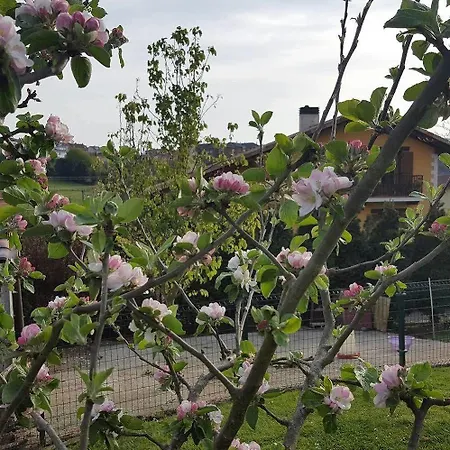 Rural Foncubierta Ξενοδοχείο 3*