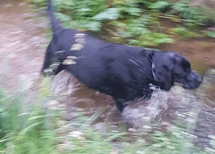 Hotel Rural Foncubierta