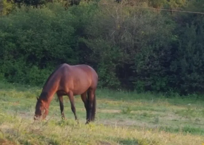 Hotel Rural Foncubierta 3*