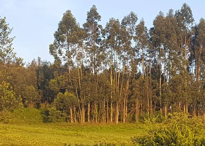 Rural Foncubierta 3* Soto Del Barco