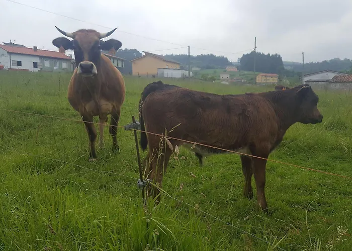 Hotel Rural Foncubierta