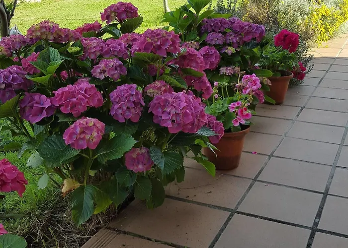 Rural Foncubierta Hotel