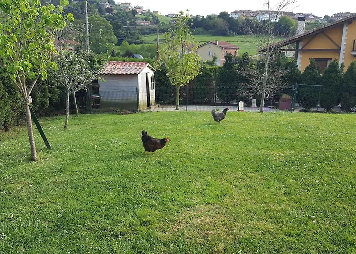 Rural Foncubierta 3*