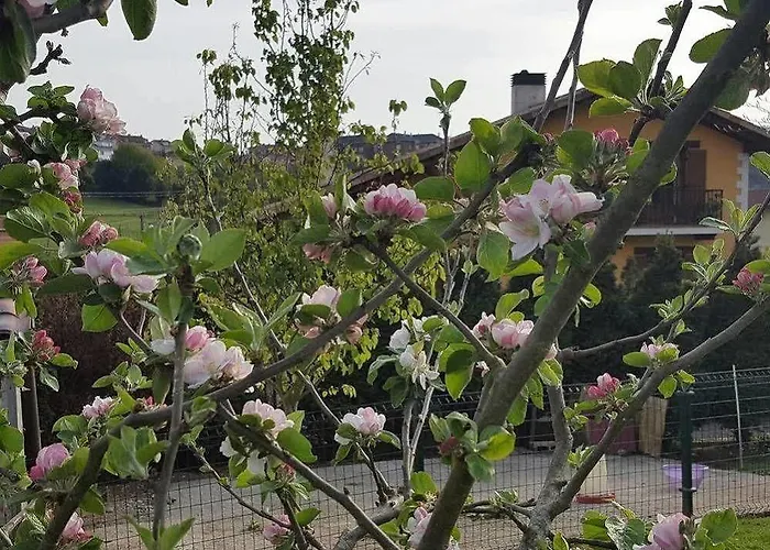 Rural Foncubierta Hotel 3*