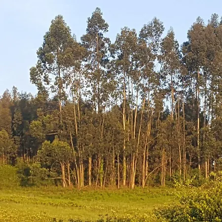 Rural Foncubierta 3* Soto Del Barco