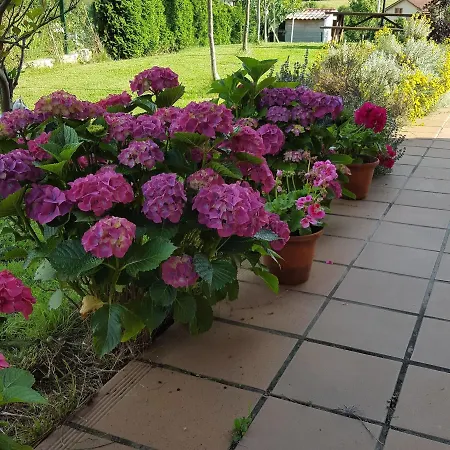 Rural Foncubierta Hotel